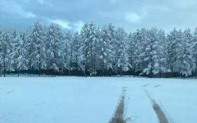 Грузоперевозки в Эвенкийский район: ТДЛ – комплексные решения для Севера