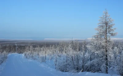 Транспортная компания в Эвенкийском районе: ТДЛ – ветераны северной логистики!