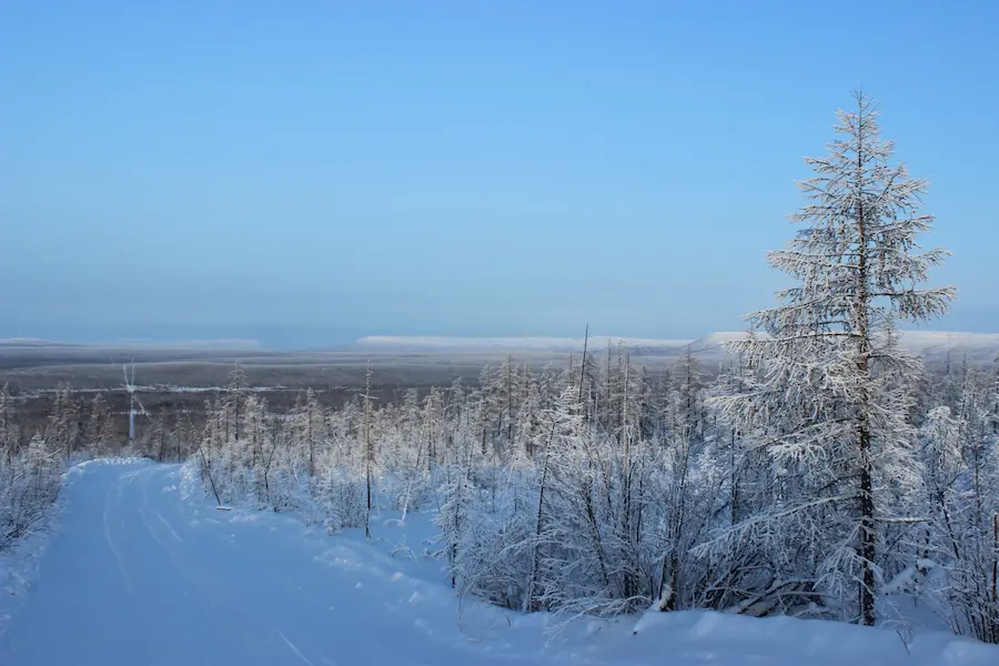 v-evenkiyskom-municipalnom-rayone-kraya-prognoziruetsya-silnyy-moroz_1613197856580860210__2000x2000